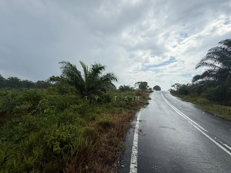 Agricultural Land for Sale in Kota Tinggi (Johor) - Ty Tan - Exterior - PropertyGuru.com.my