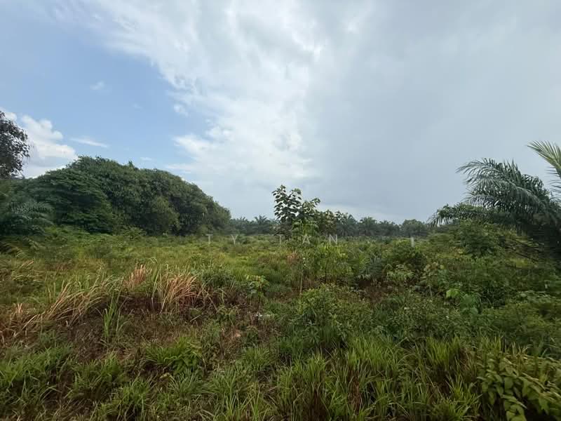 Agricultural Land for Sale in Kota Tinggi (Johor) - Ty Tan - Exterior - PropertyGuru.com.my