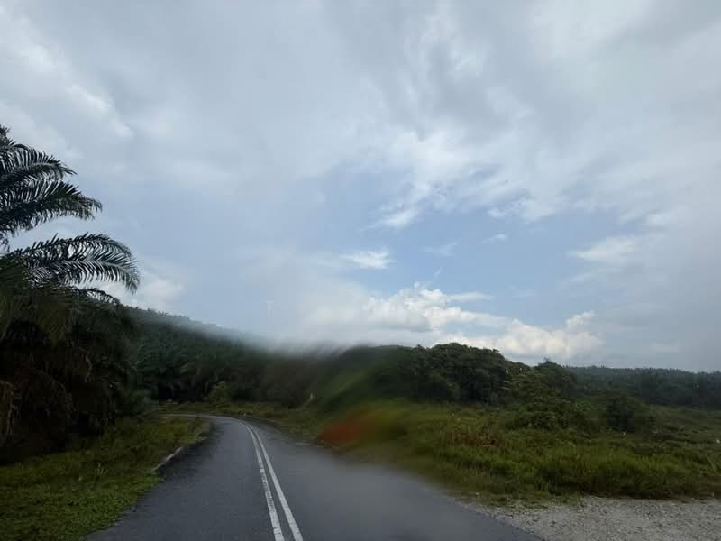 Agricultural Land for Sale in Kota Tinggi (Johor) - Ty Tan - Exterior - PropertyGuru.com.my