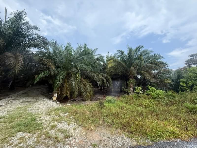 Agricultural Land for Sale in Kota Tinggi (Johor) - Ty Tan - Exterior - PropertyGuru.com.my