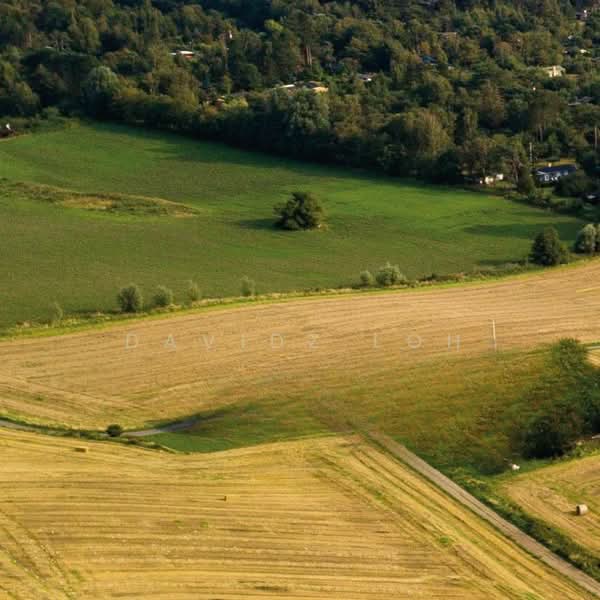 Agricultural Land for Sale in Sungai Jawi (Penang) - Davidz Loh - Exterior - PropertyGuru.com.my