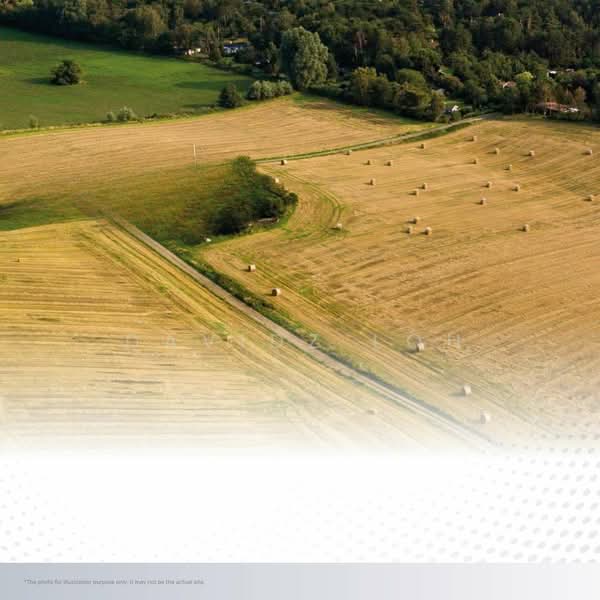 Agricultural Land for Sale in Sungai Jawi (Penang) - Davidz Loh - Exterior - PropertyGuru.com.my