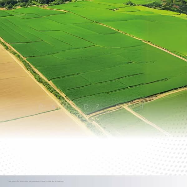 Agricultural Land for Sale in Simpang Ampat (Penang) - Davidz Loh - PropertyGuru.com.my