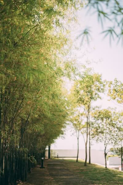 Condominium for Sale at The Wharf Residence - Shirlee Toh - Exterior - PropertyGuru.com.my