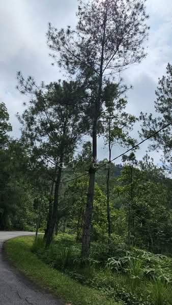 For Sale - Villas @ Berjaya Hills