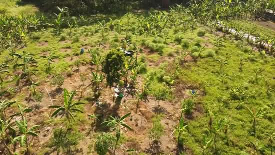 Agricultural Land for Sale in Semenyih (Selangor) - Noraini Dahan - PropertyGuru.com.my