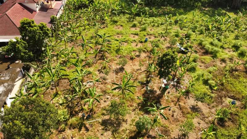 Agricultural Land for Sale in Semenyih (Selangor) - Noraini Dahan - Exterior - PropertyGuru.com.my