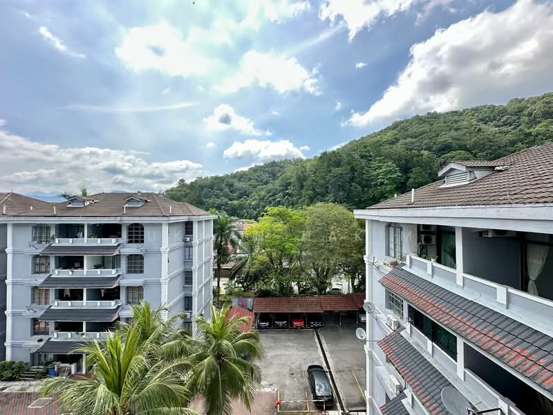 For Sale - Waizuri 2