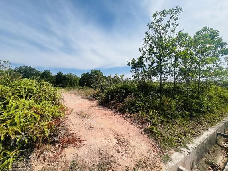 Commercial Land for Sale in Tanjong Minyak (Melaka) - Camie Goh - Exterior - PropertyGuru.com.my