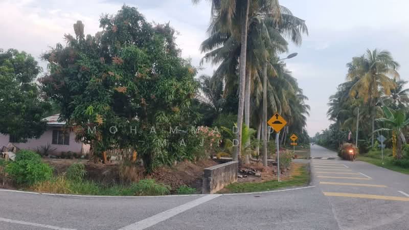 Agricultural Land for Sale in Tanjung Karang (Selangor) - Mohammad Din Majid - PropertyGuru.com.my