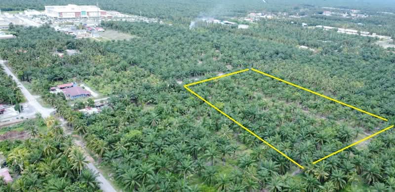 Agricultural Land for Sale in Tanjung Karang (Selangor) - Mohammad Din Majid - PropertyGuru.com.my