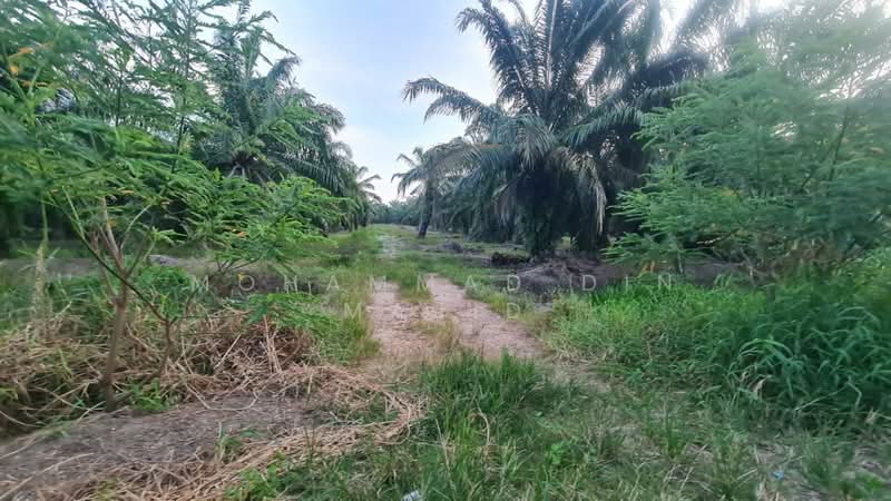 Agricultural Land for Sale in Tanjung Karang (Selangor) - Mohammad Din Majid - PropertyGuru.com.my
