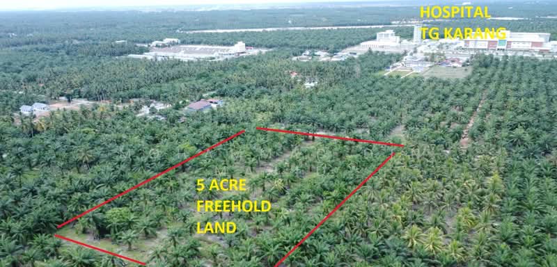 Agricultural Land for Sale in Tanjung Karang (Selangor) - Mohammad Din Majid - PropertyGuru.com.my