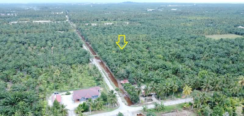 Agricultural Land for Sale in Tanjung Karang (Selangor) - Mohammad Din Majid - PropertyGuru.com.my