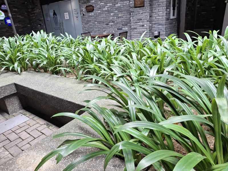 Other Property for Sale in Central Park Damansara (Damansara Perdana) - Bee Lin - Exterior - PropertyGuru.com.my