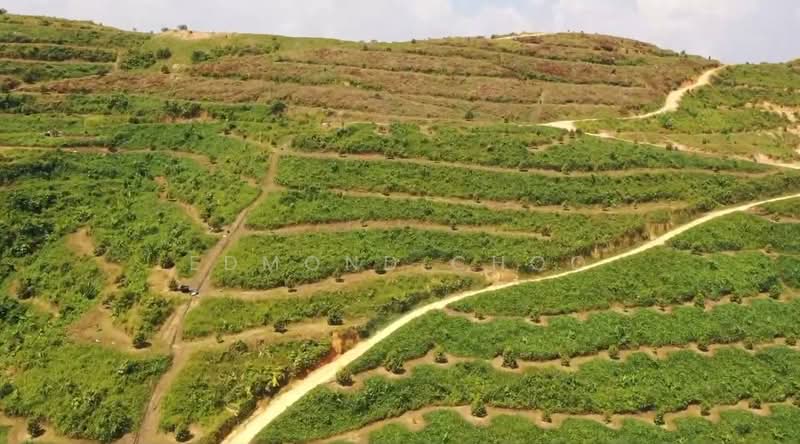 Karak temelong agriculture land with durian and land untuk Untuk Dijual - RM 51,000,000, Mac 2026 - Exterior - PropertyGuru.com.my