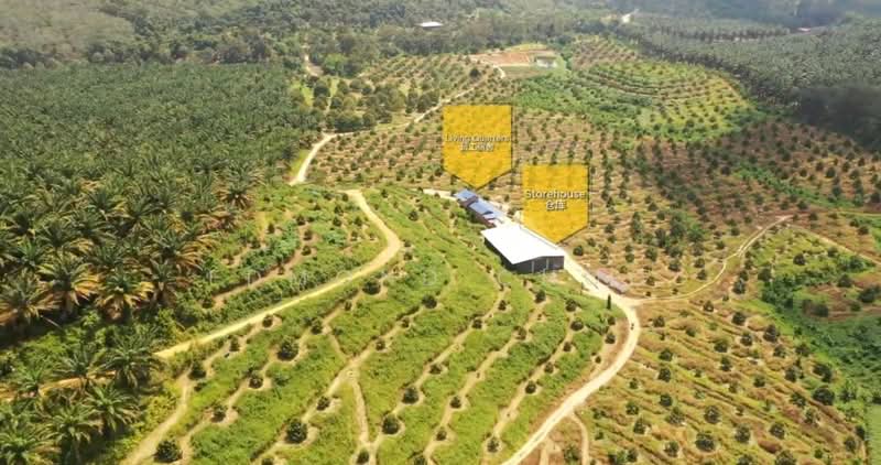 Karak temelong agriculture land with durian and land untuk Untuk Dijual - RM 51,000,000, Mac 2026 - Exterior - PropertyGuru.com.my