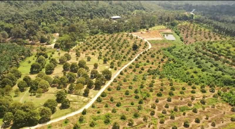 Karak temelong agriculture land with durian and land untuk Untuk Dijual - RM 51,000,000, Mac 2026 - Garden - PropertyGuru.com.my