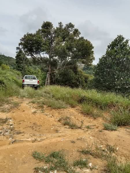 Junjong Durian Land Kulim Kedah untuk Untuk Dijual - RM 4,700,000, Apr 2026 - Exterior - PropertyGuru.com.my