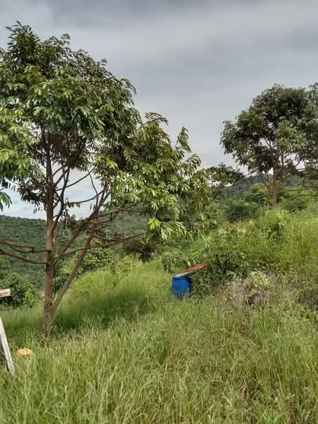 Junjong Durian Land Kulim Kedah untuk Untuk Dijual - RM 4,700,000, Apr 2026 - Exterior - PropertyGuru.com.my