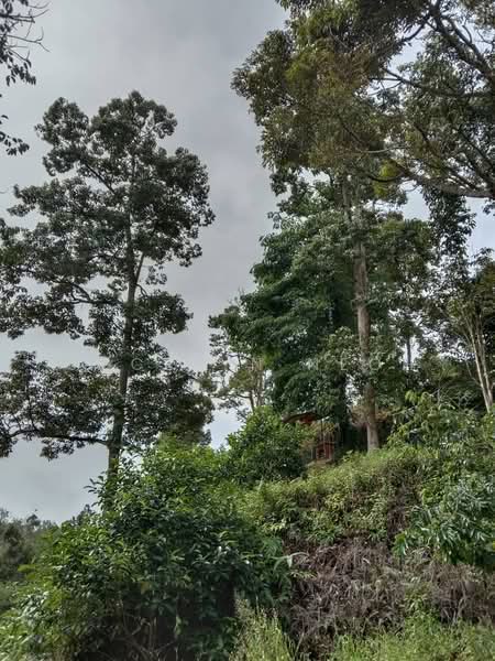 Junjong Durian Land Kulim Kedah untuk Untuk Dijual - RM 4,700,000, Apr 2026 - Exterior - PropertyGuru.com.my