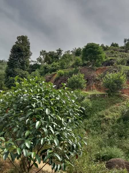 Junjong Durian Land Kulim Kedah untuk Untuk Dijual - RM 4,700,000, Apr 2026 - Exterior - PropertyGuru.com.my