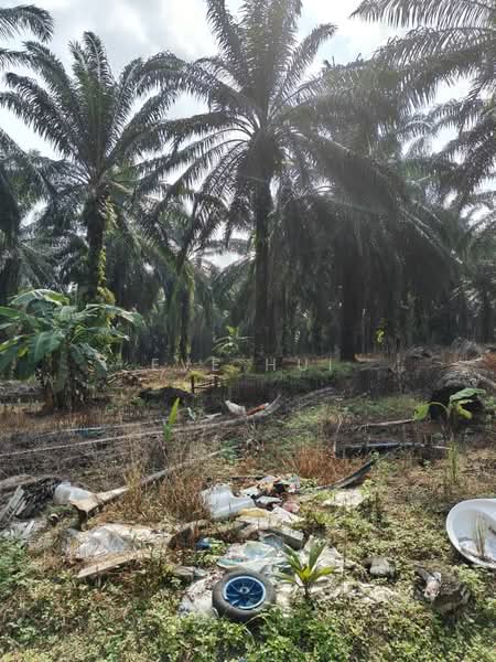 Agricultural Land for Sale in Kampung Plentong (Masai) - Eve Hui - PropertyGuru.com.my
