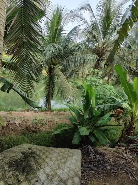 Agricultural Land for Sale in Kampung Plentong (Masai) - Eve Hui - PropertyGuru.com.my