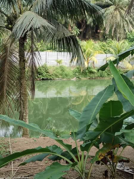 Agricultural Land for Sale in Kampung Plentong (Masai) - Eve Hui - PropertyGuru.com.my