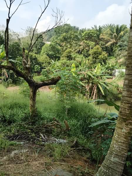Agricultural Land for Sale in Kampung Plentong (Masai) - Eve Hui - PropertyGuru.com.my