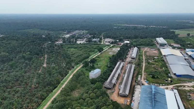 Industrial Land for Sale in Pekan Nanas (Johor) - Lawrence Tan - Exterior - PropertyGuru.com.my