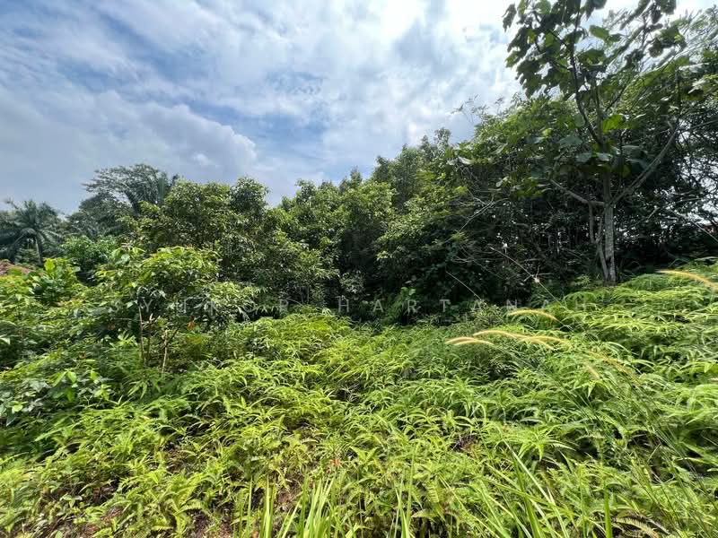 Residential Land for Sale in Sepang (Selangor) - Syukor Hartanah - Garden - PropertyGuru.com.my