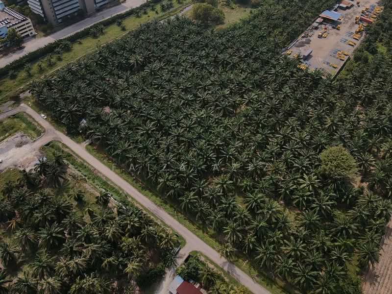 Agricultural Land for Sale in Pulau Indah (Klang) - Faiza Aziz - Exterior - PropertyGuru.com.my