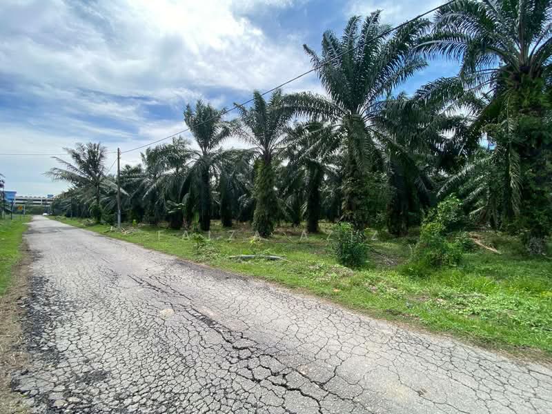 Agricultural Land for Sale in Pulau Indah (Klang) - Faiza Aziz - Exterior - PropertyGuru.com.my