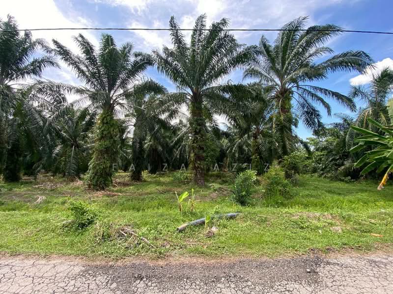 Agricultural Land for Sale in Pulau Indah (Klang) - Faiza Aziz - Garden - PropertyGuru.com.my