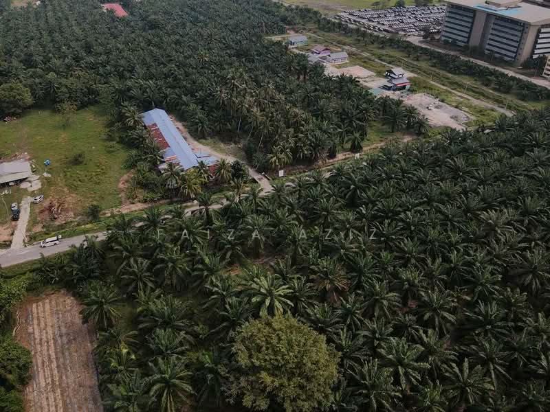 Agricultural Land for Sale in Pulau Indah (Klang) - Faiza Aziz - Exterior - PropertyGuru.com.my