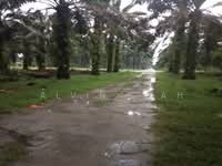 For Sale - Batang Berjuntai, Bestari Jaya