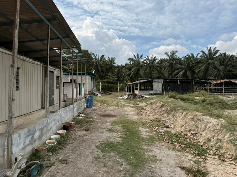 Agricultural Land for Sale in Kampung Sri Parit Dalam (Port Dickson) - Ahmad Zawawi Hashim - Exterior - PropertyGuru.com.my