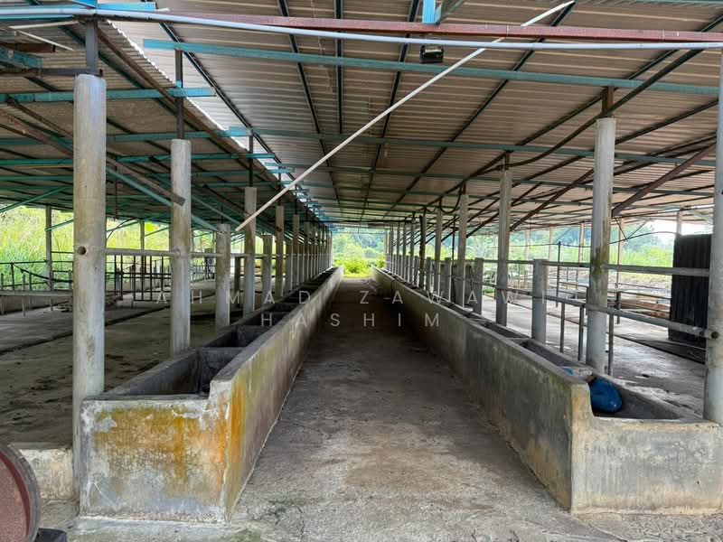 Agricultural Land for Sale in Kampung Sri Parit Dalam (Port Dickson) - Ahmad Zawawi Hashim - Exterior - PropertyGuru.com.my