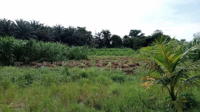 Agricultural Land for Sale in Kampung Sri Parit Dalam (Port Dickson) - Ahmad Zawawi Hashim - Garden - PropertyGuru.com.my