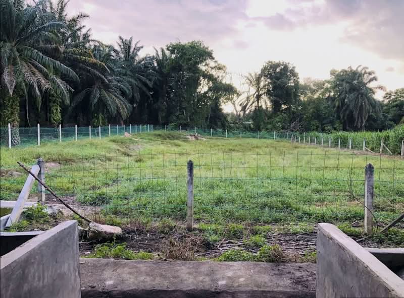 Agricultural Land for Sale in Kampung Sri Parit Dalam (Port Dickson) - Ahmad Zawawi Hashim - Exterior - PropertyGuru.com.my