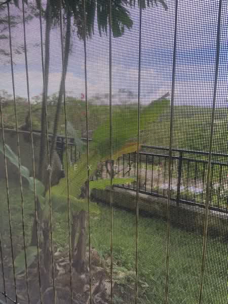 Apartment for Rent at Starview Bay @ Forest City - Alex Cheah - View - PropertyGuru.com.my