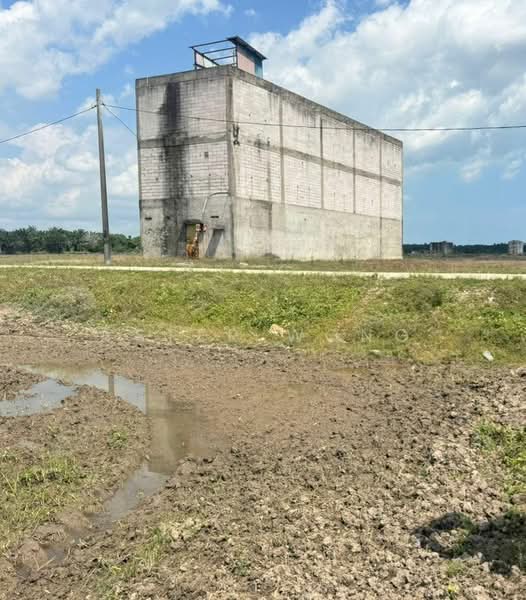 Agricultural Land for Sale in Mersing (Johor) - Ester Wong - Exterior - PropertyGuru.com.my