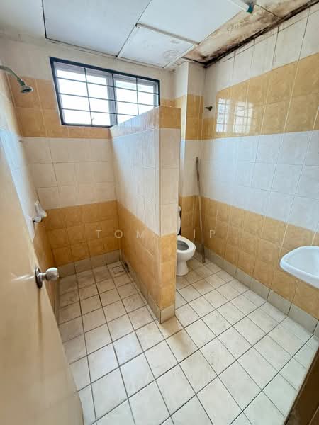 3-storey Terraced House for Sale in Subang Bestari (Shah Alam) - Tom Yip - Bathroom - PropertyGuru.com.my