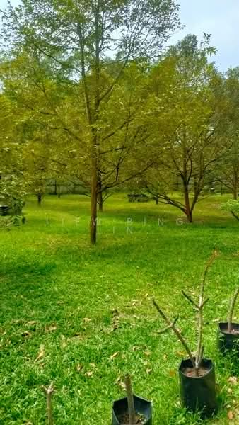 Hulu Selangor Sungai Keliang Bungalow land untuk Untuk Dijual - RM 1,700,000, Mac 2026 - Garden - PropertyGuru.com.my