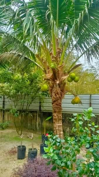 Hulu Selangor Sungai Keliang Bungalow land untuk Untuk Dijual - RM 1,700,000, Mac 2026 - PropertyGuru.com.my