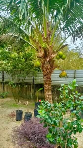 Hulu Selangor Sungai Keliang Bungalow land untuk Untuk Dijual - RM 1,700,000, Mac 2026 - PropertyGuru.com.my