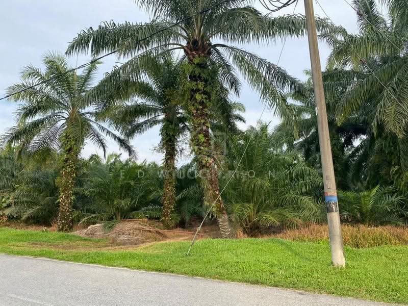 Industrial Land for Sale in Kampung Ulu Yam Lama (Ulu Yam) - Edwin Kon - Exterior - PropertyGuru.com.my