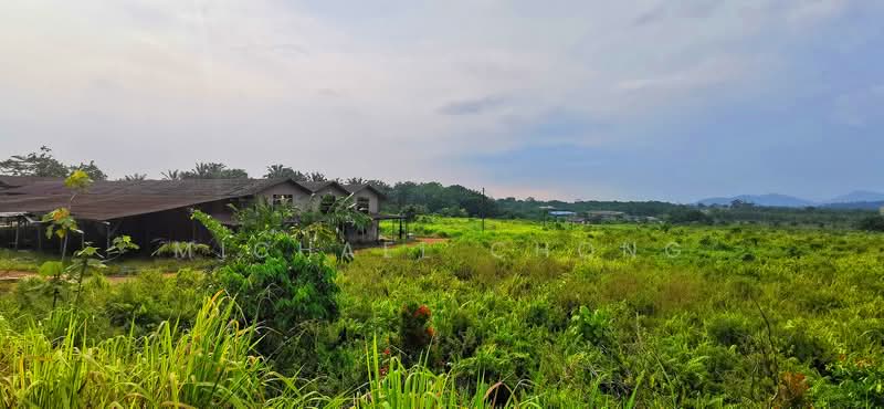 Industrial Land for Sale in Sri Plentong (Plentong) - Michael Chong - Exterior - PropertyGuru.com.my