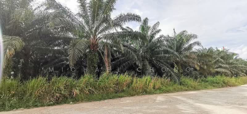 Industrial Land for Sale in Sri Plentong (Plentong) - Michael Chong - PropertyGuru.com.my